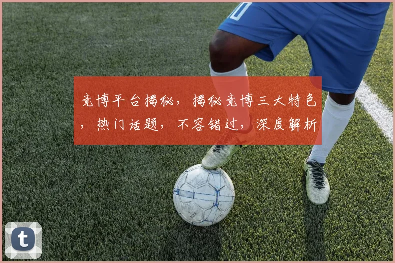 竞博平台揭秘，揭秘竞博三大特色，热门话题，不容错过，深度解析。